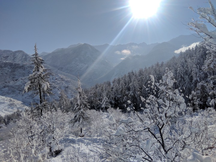 snowy