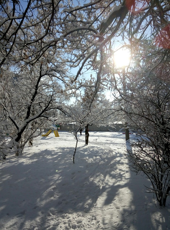 #winter #Ukraine #зима