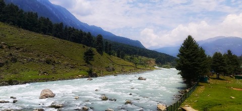 Landscape