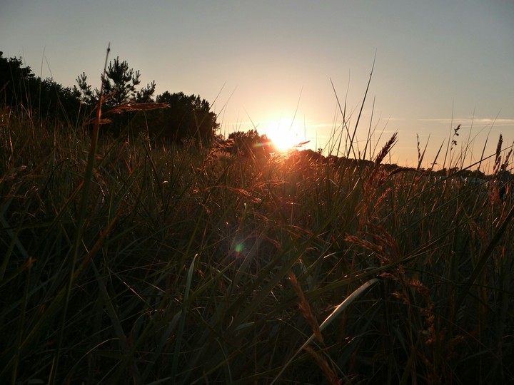 sonne