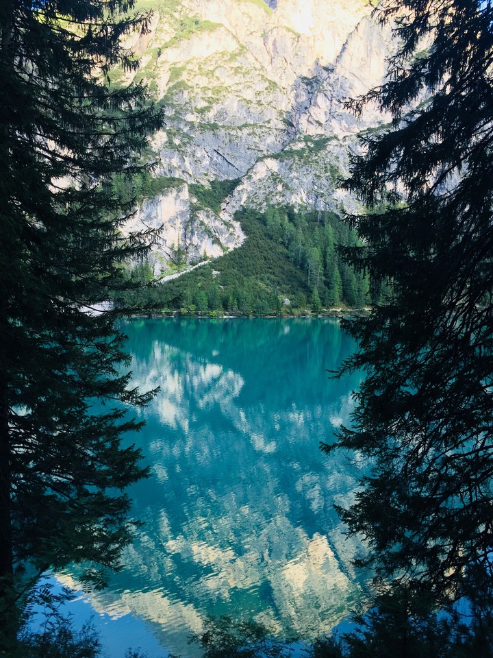 nature