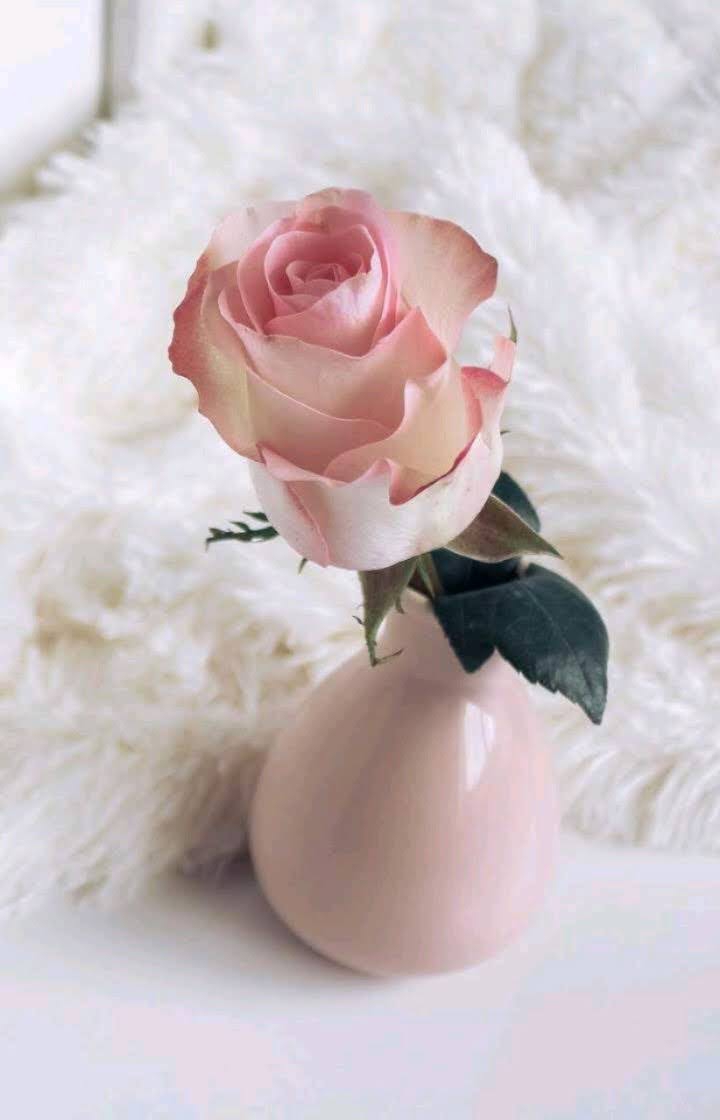 Florero