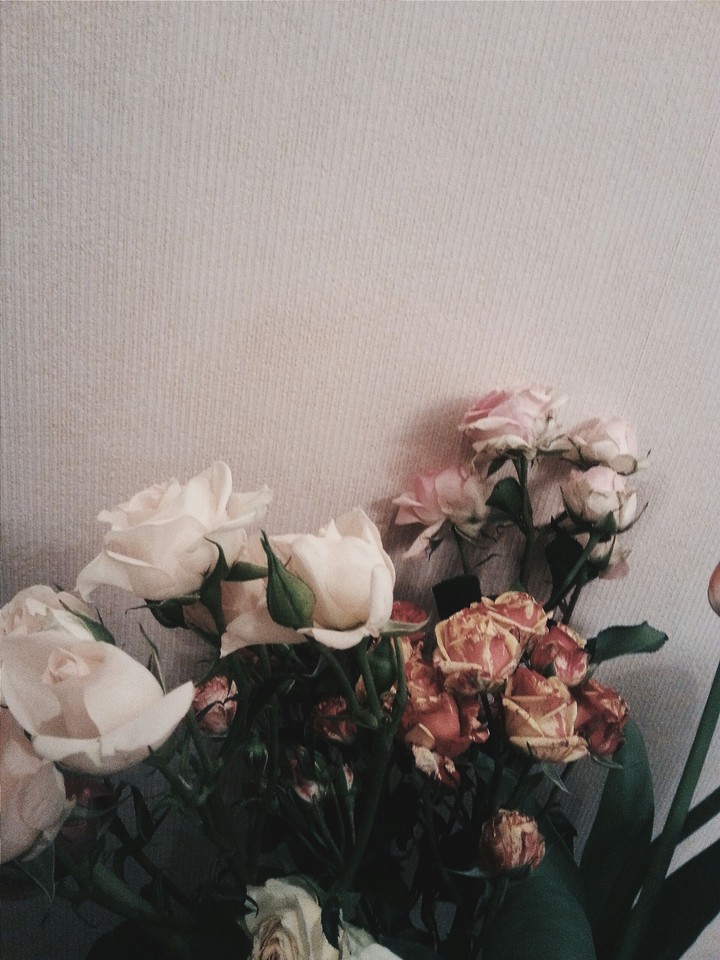 Roses