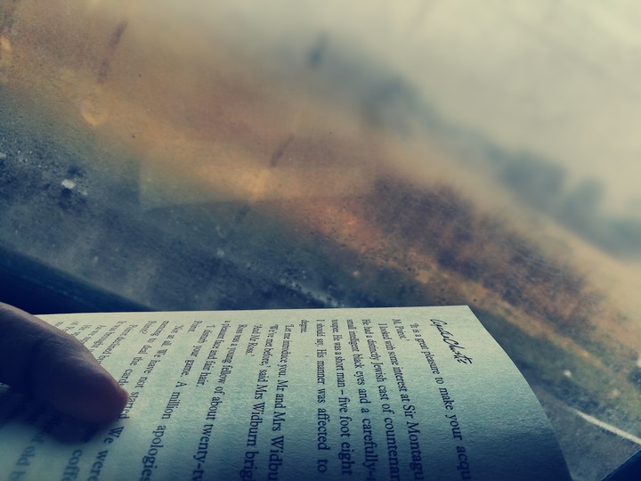 Novel