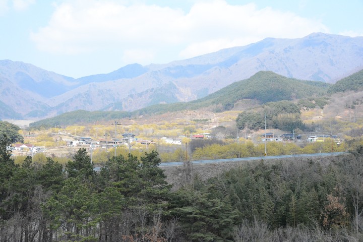 구례의봄이미지