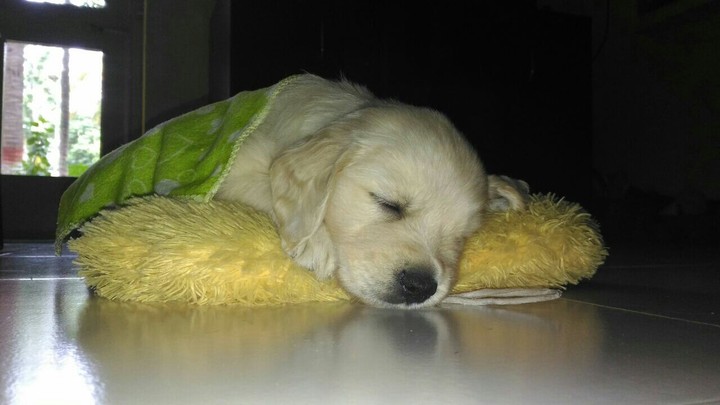 sleepy