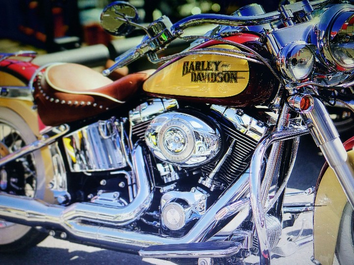 Harley Davidson