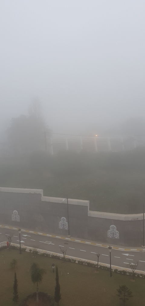 le brouillard