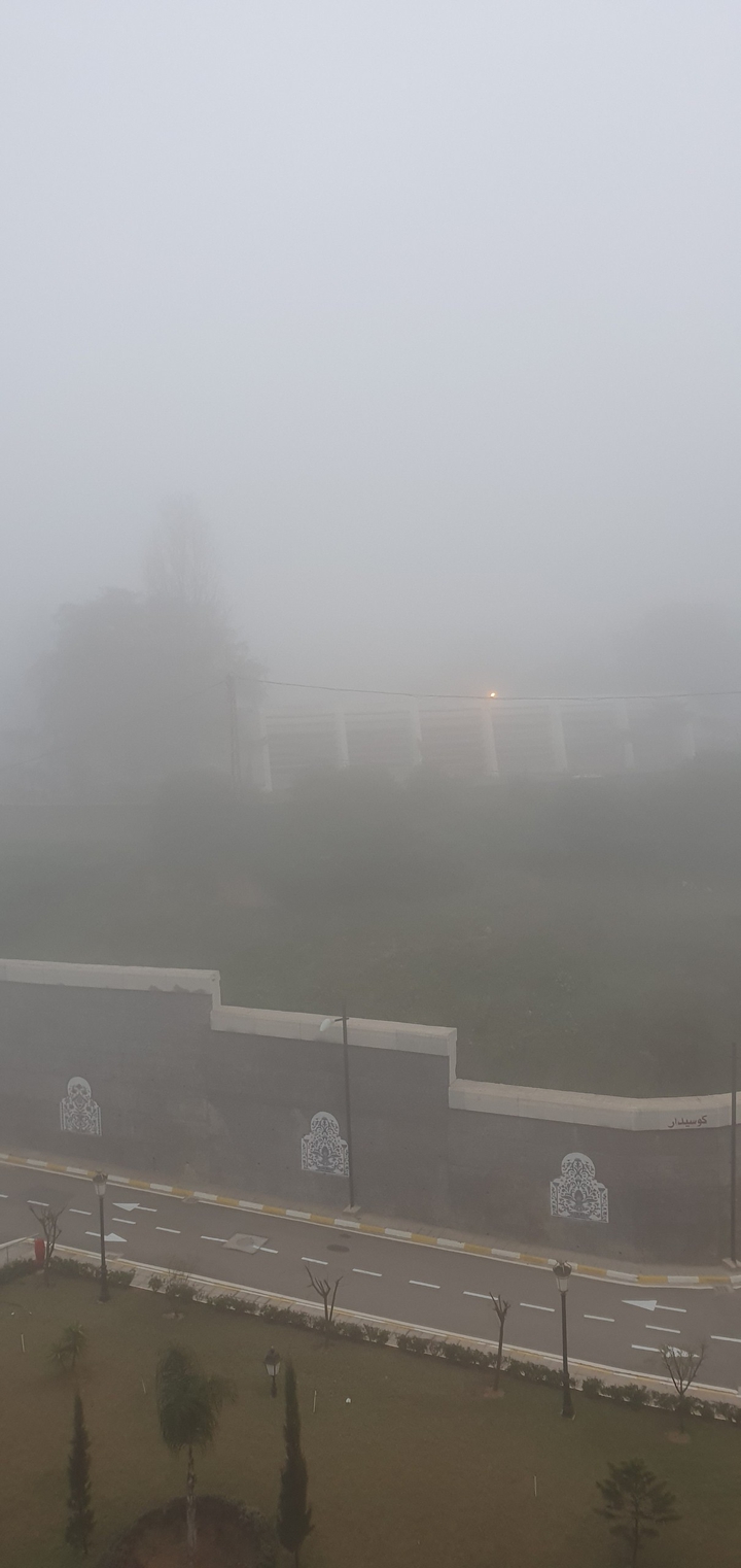 le brouillard