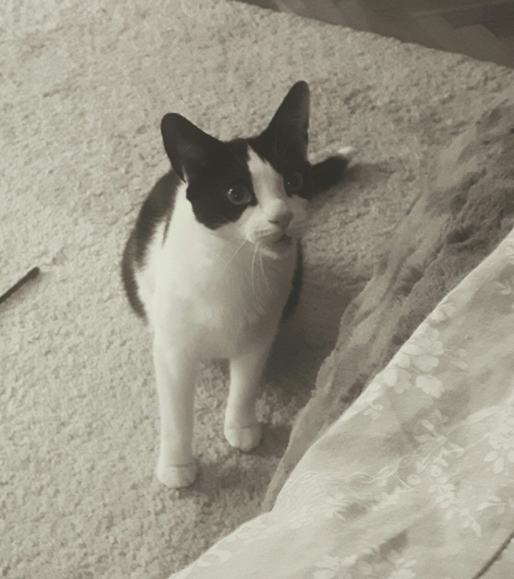 My wonderfull Prince :)