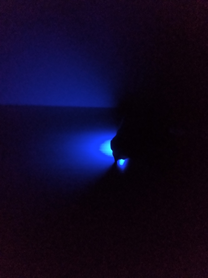 Preto e azul.