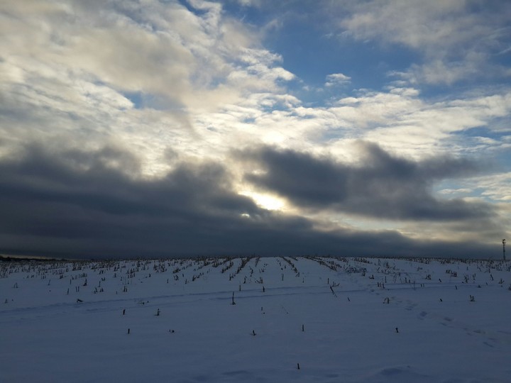 Winter