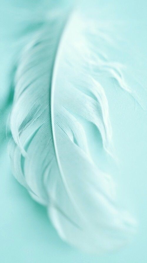 blue feather