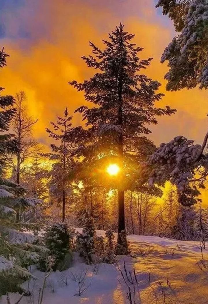 зима