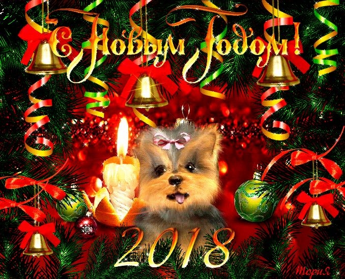 с Новым годом