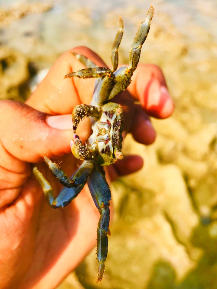 crab grab