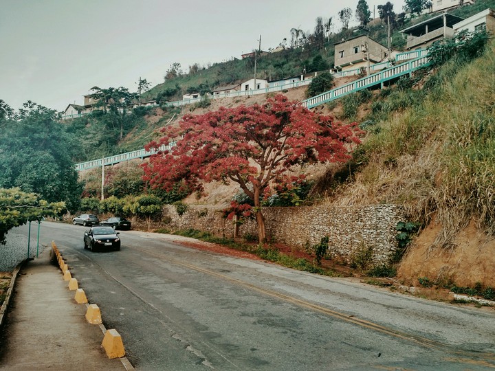 Manhumirim MG contraste