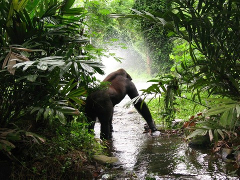 wild & beautiful.....