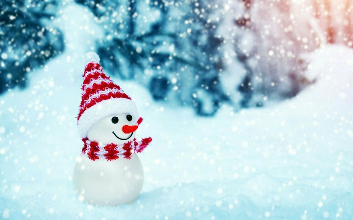 cold snow man