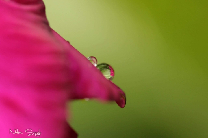 Little lense