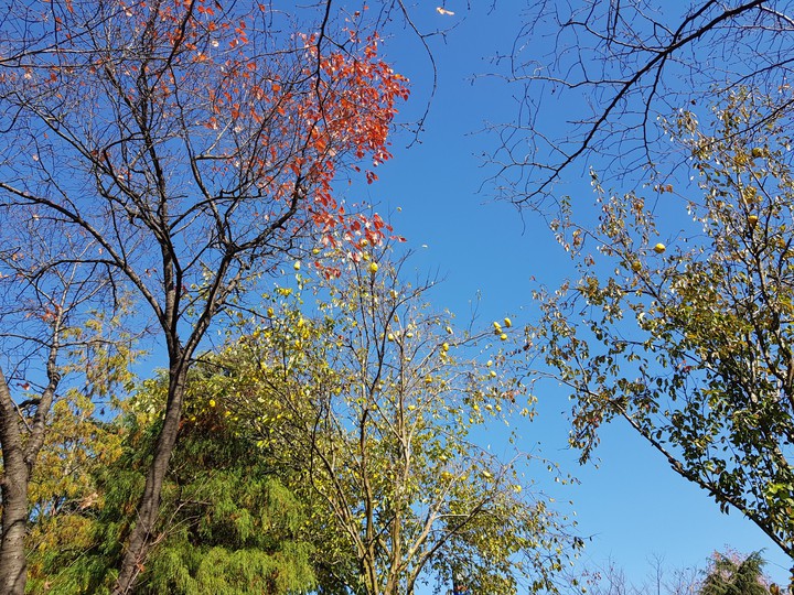 sky in Fall