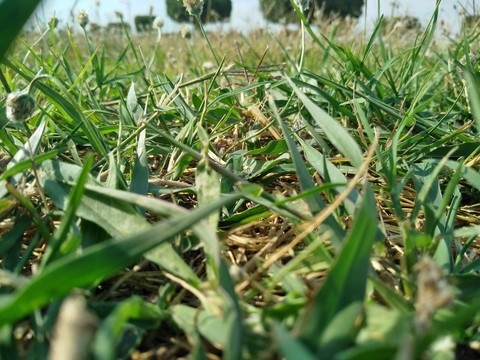 fonds d'écran field, soil