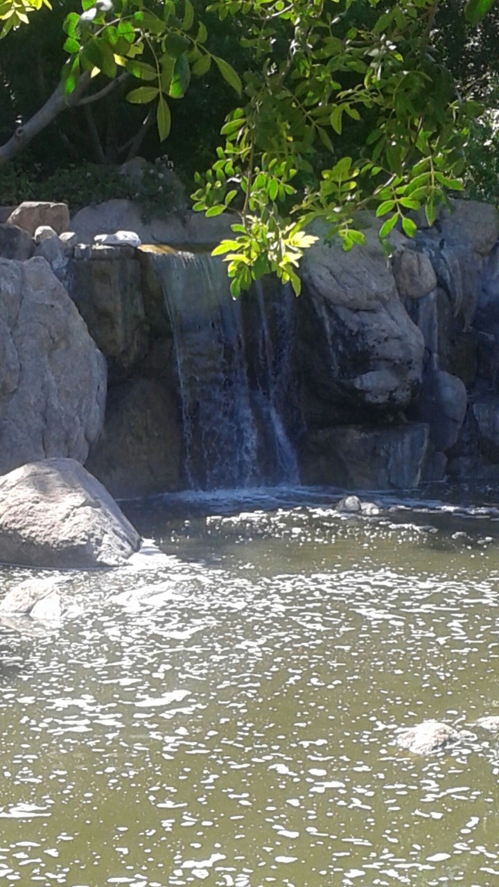 Waterfall