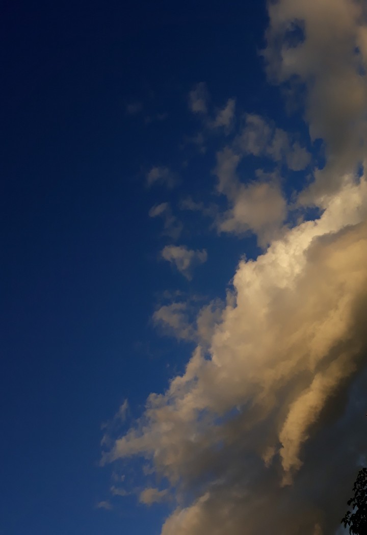 look up the sky
