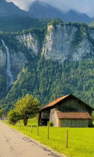 The Calm Natur