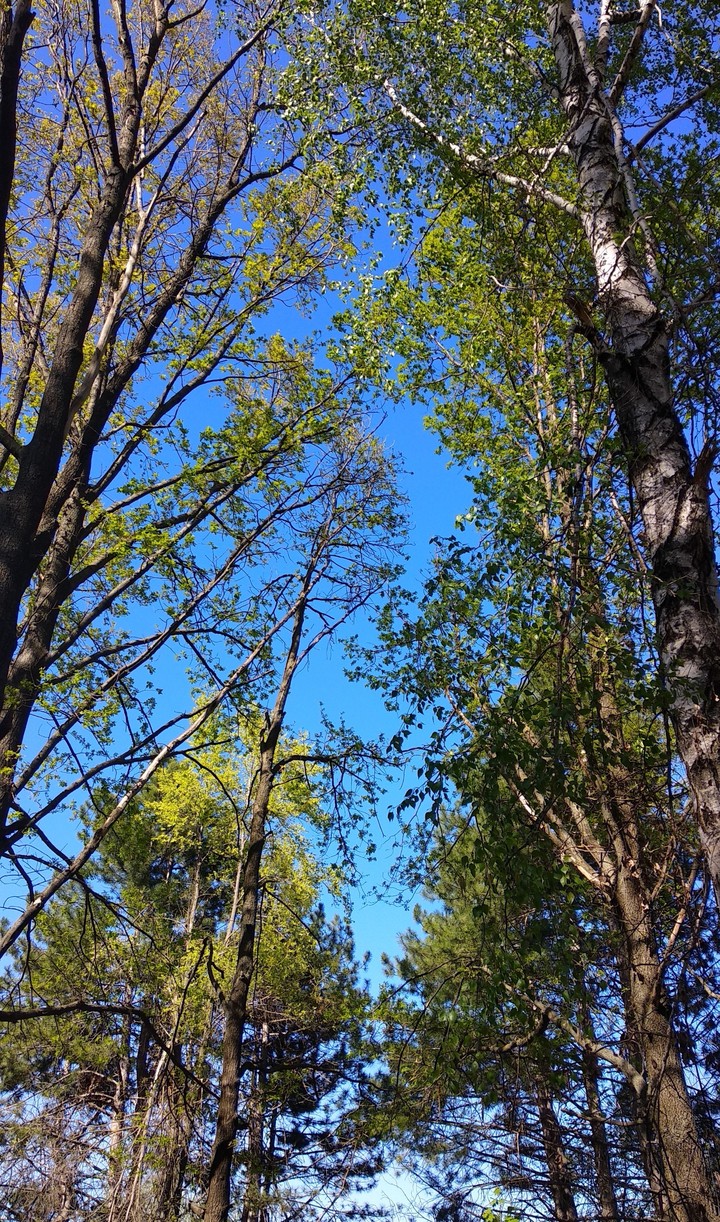 blue sky
