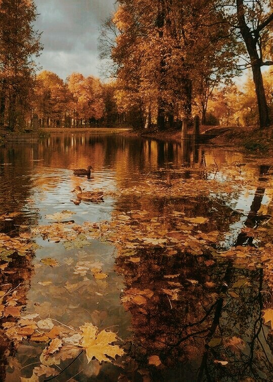 I Love you    ....    autumn    ....