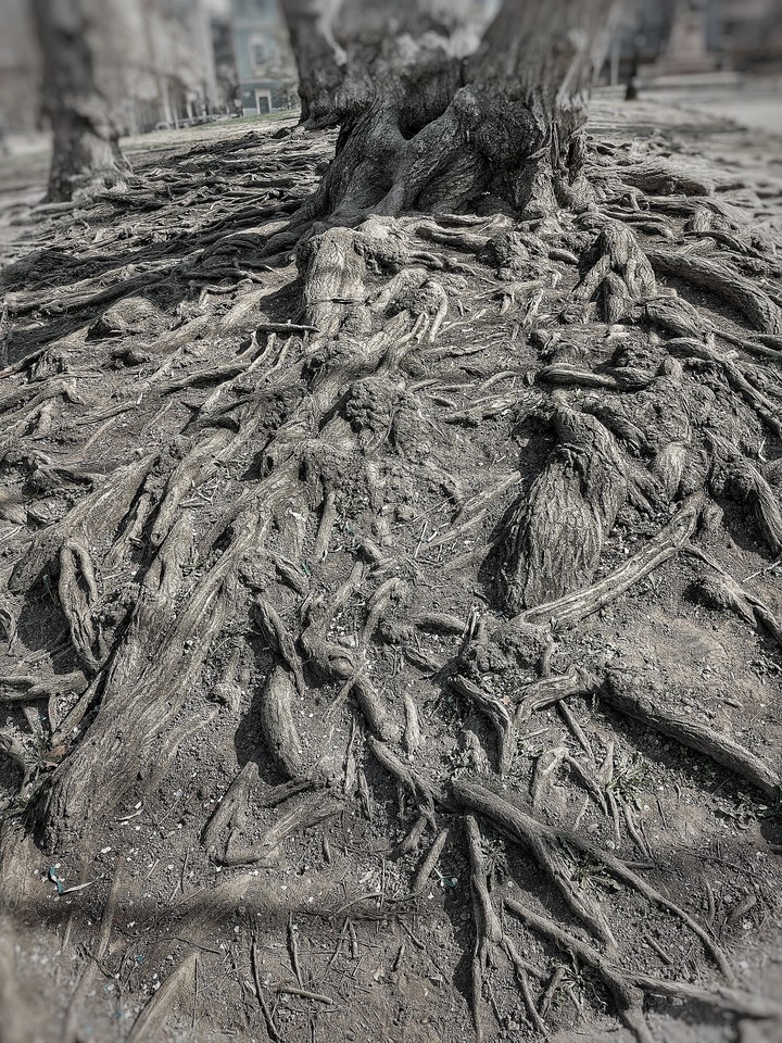 .