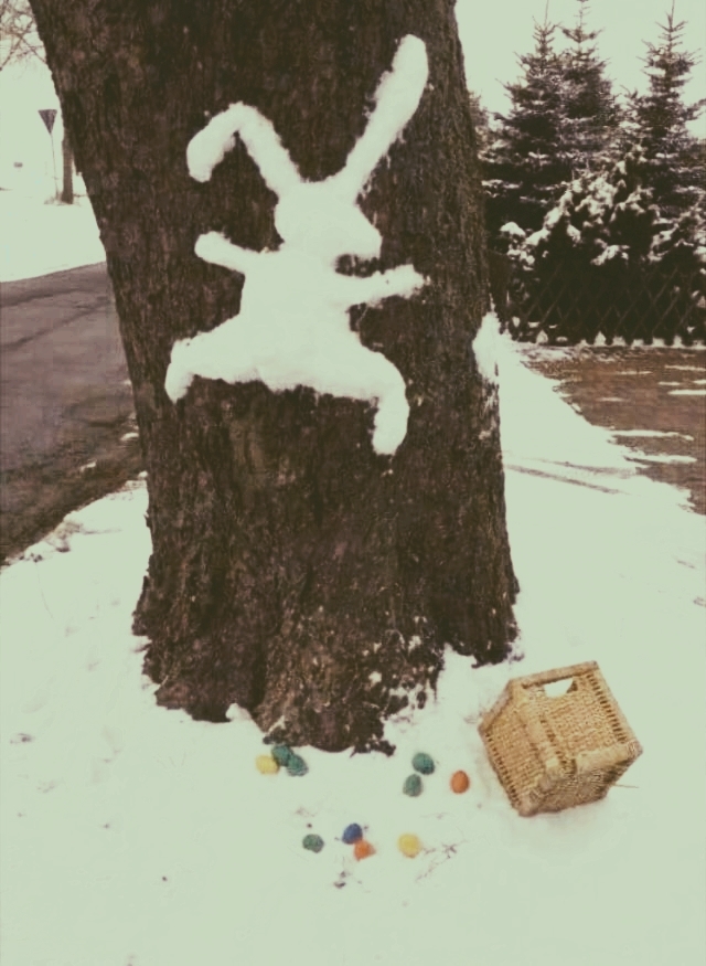 rabbit