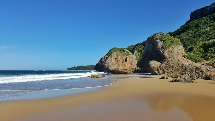 Survival Beach