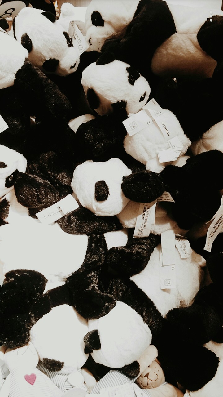 Pandas