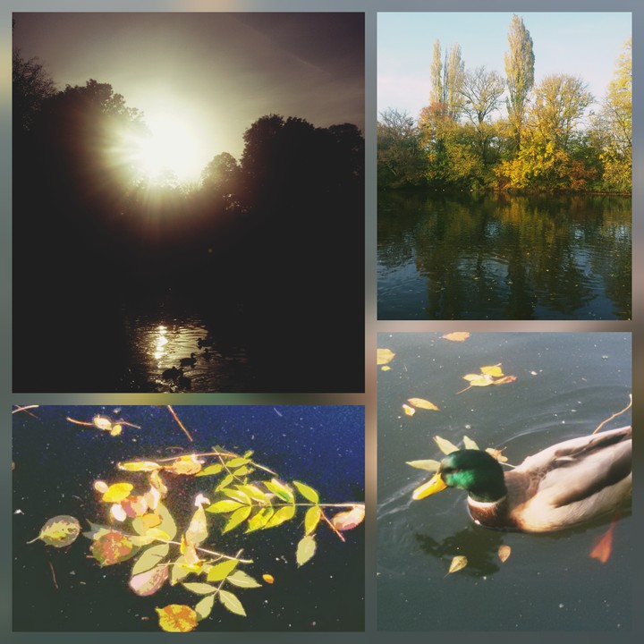 Versuch einer Collage