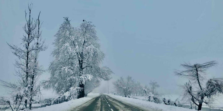 Kashmir