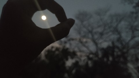moon light