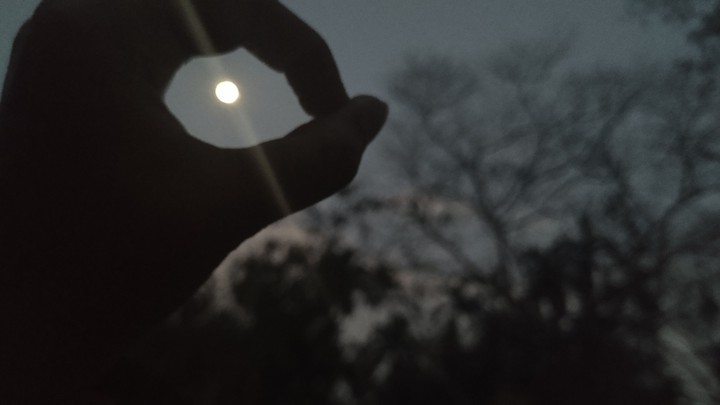 moon light