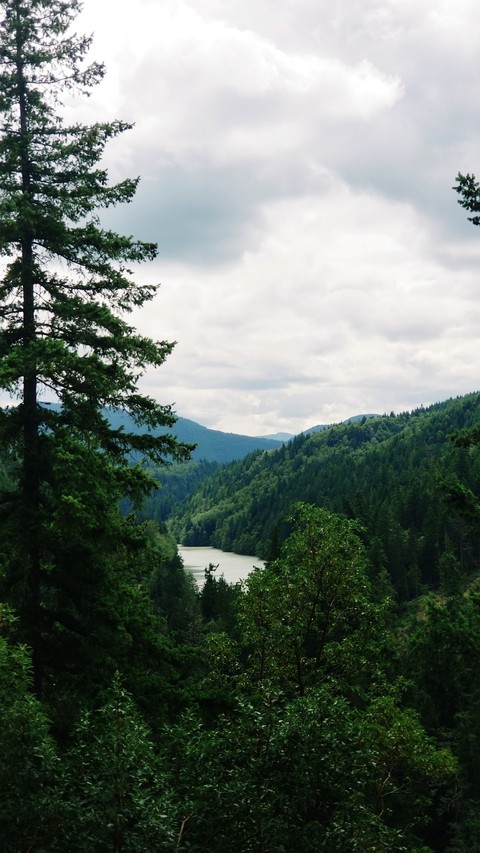 PNW