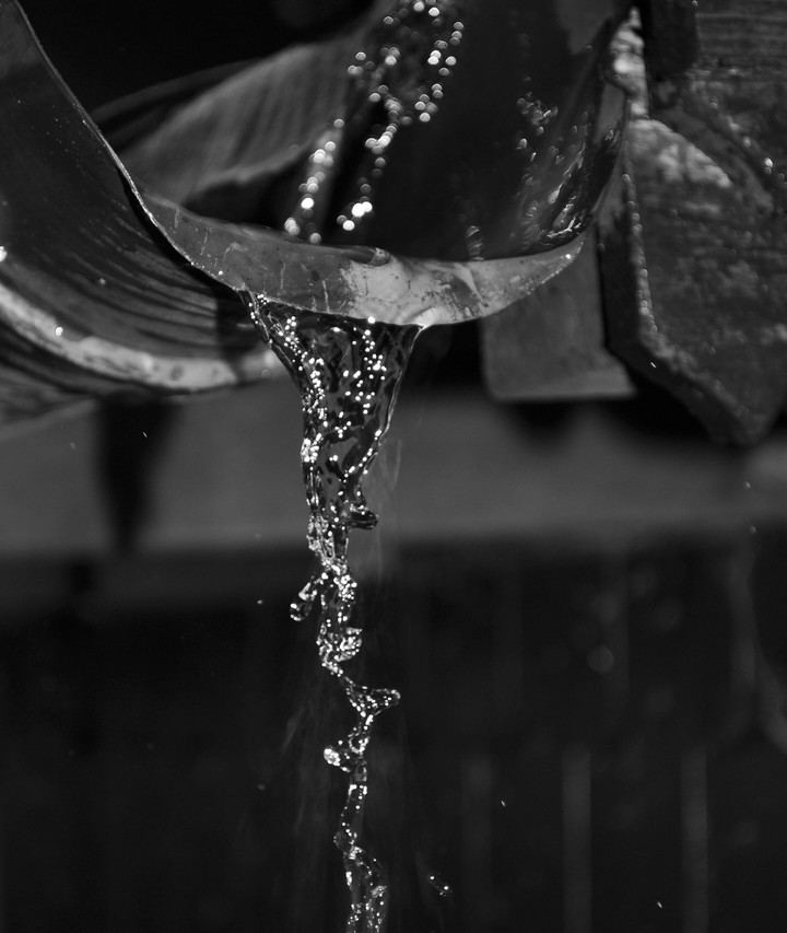 Rain