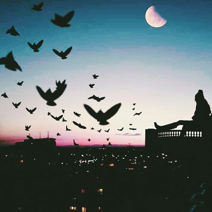 freedom