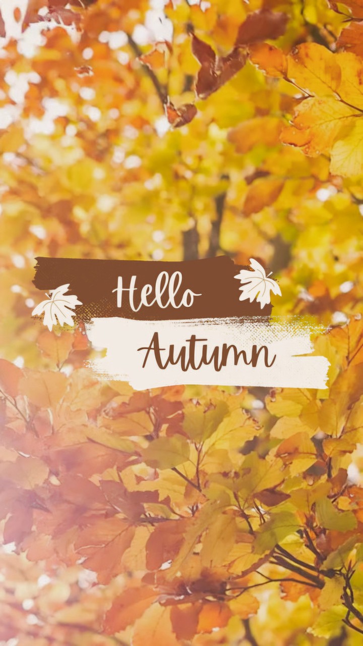 ~☆ Hello Autumn ☆~