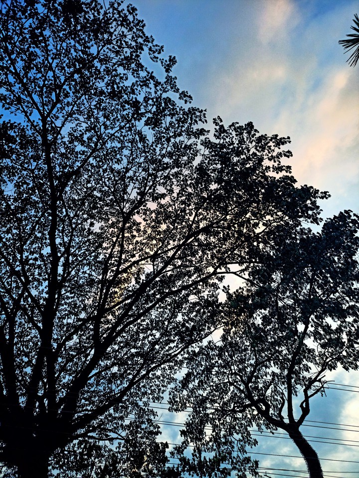 Blissful