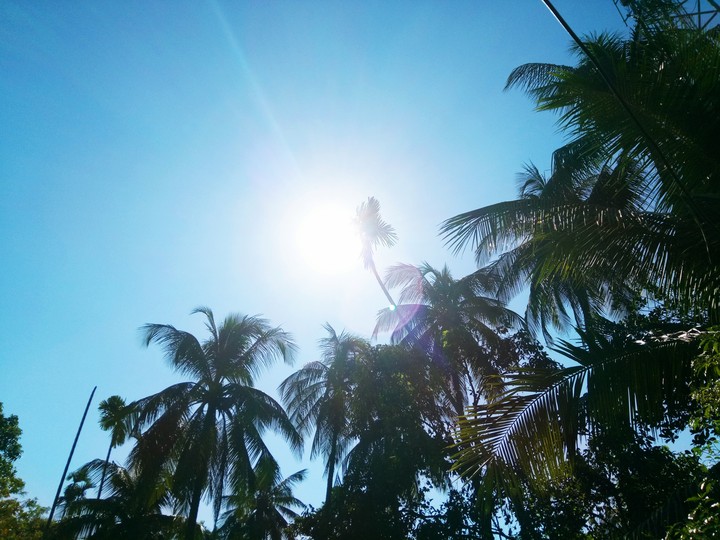 sunshine
