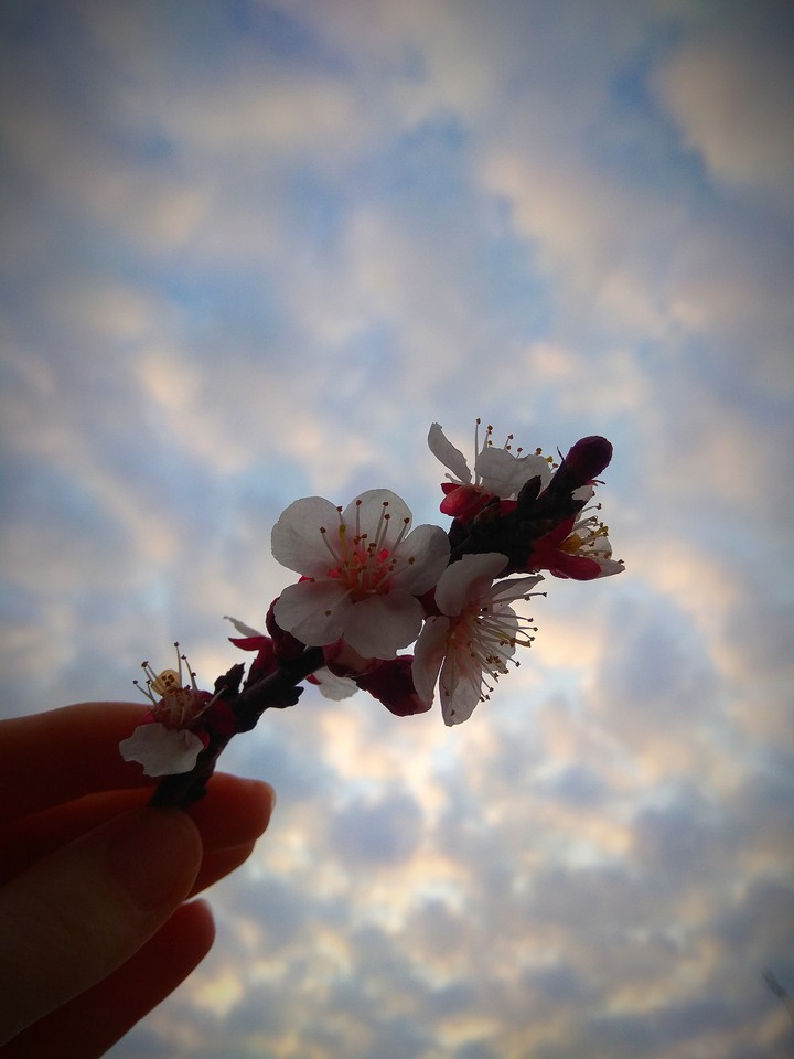 clouds
