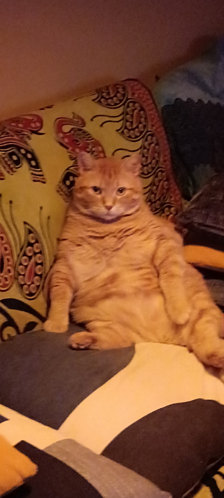 .
