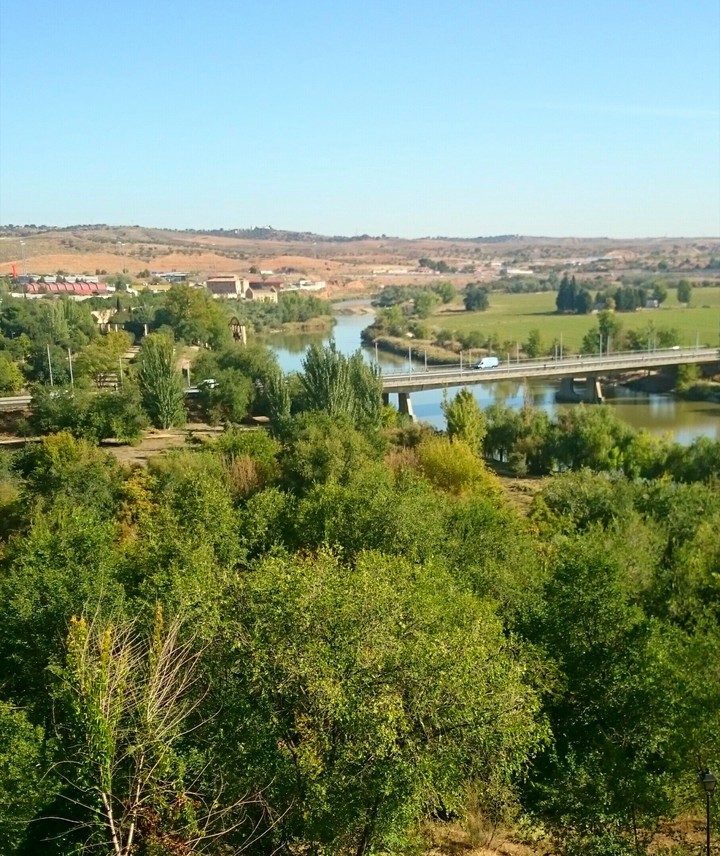 STAMATIOS