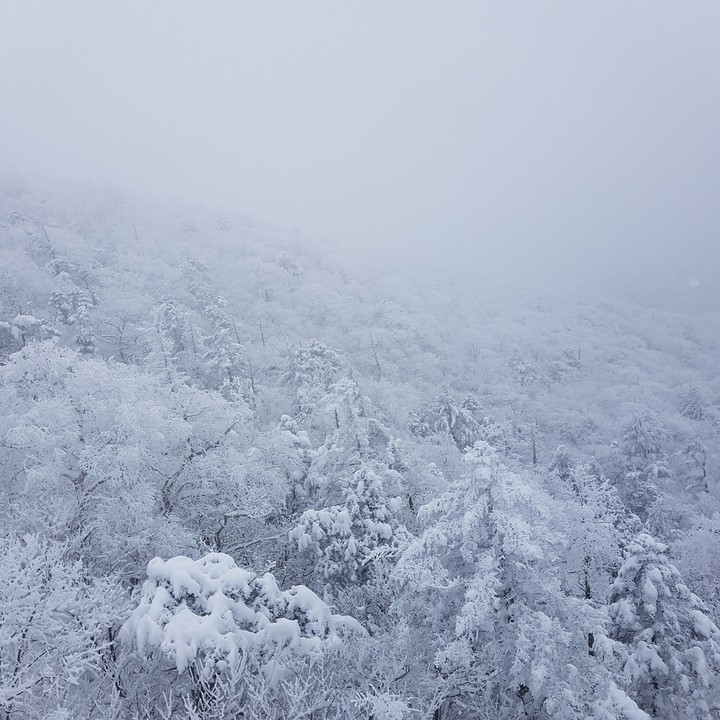 KOREA