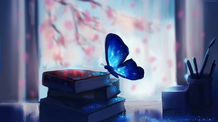 butterfly ☺